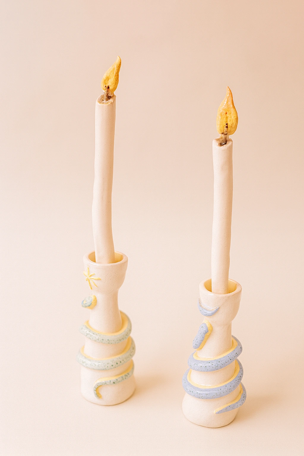 جا صابونی گربه